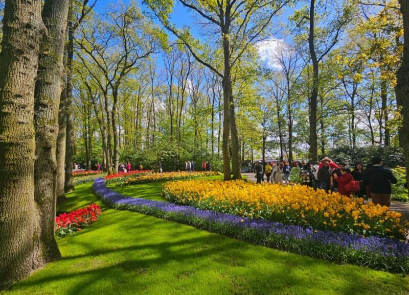 From Amsterdam: Small Group Keukenhof & City Tour Delft - Final Thoughts: Is This Tour Right for You?