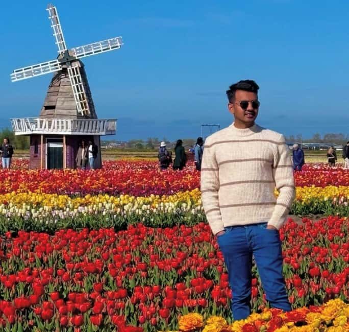 From Amsterdam: Tulip Field Experience  The Tulip Barn - What to Expect from the Tour