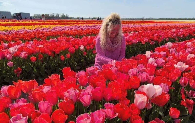 From Amsterdam: Tulip Field Experience  The Tulip Barn - Who Is This Tour Best For?