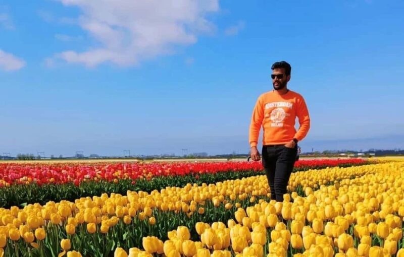 From Amsterdam: Tulip Field Experience  The Tulip Barn - FAQ
