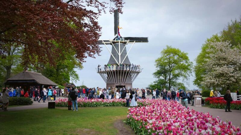 From Amsterdam: VIP Keukenhof Tulip Tour with Private Driver - An Honest Look at What the Tour Offers
