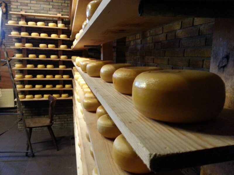 From Amsterdam: Windmills of Zaanse Schans Tour in Spanish - Key Points