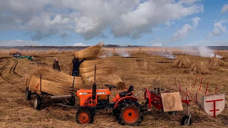 From Amsterdam: Zaanse Schans and Giethoorn Countryside Trip - Why This Tour Stands Out for Travelers