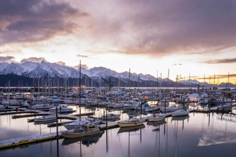 From Anchorage: 4-Day Seward and Kenai Camping & Hiking Tour - Key Points