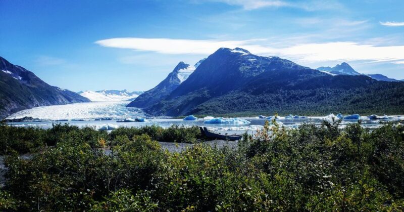 From Anchorage: 4-Day Seward and Kenai Camping & Hiking Tour - The Experience Through Reviews & Insights