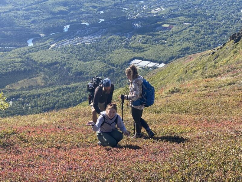 From Anchorage: Chugach State Park Guided Alpine Trek - An In-Depth Look at the Chugach State Park Guided Alpine Trek