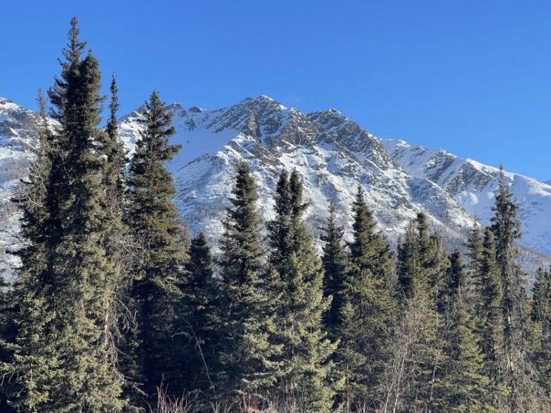 From Anchorage: Chugach State Park Winter Walking Tour - Final Thoughts