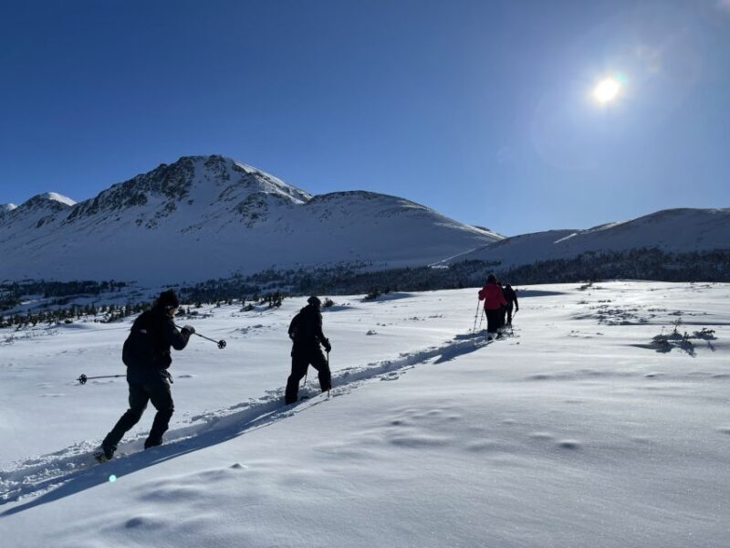 From Anchorage: Glen Alps Beginner's Snowshoeing Adventure - The Itinerary Breakdown