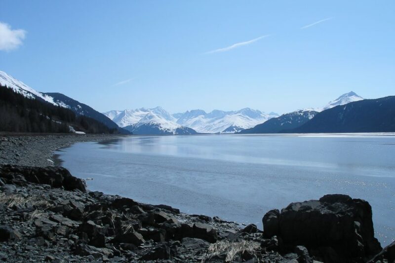 From Anchorage: Portage Glacier and Wildlife Full-Day Tour - What to Expect from This Tour