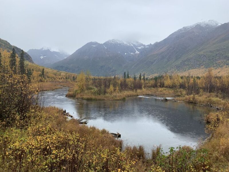 From Anchorage: Valley and Forest Hike with Naturalist Guide - Key Points