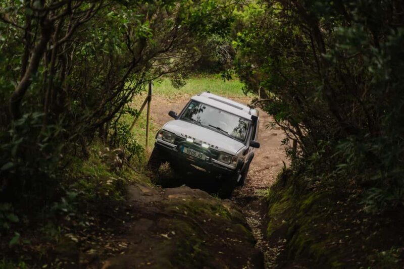 From Angra: Terceira Island Full-Day Jeep Tour - The Guide & Group Size