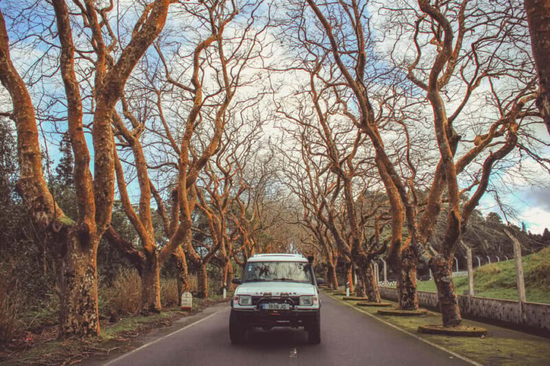 From Angra: Terceira Island Full-Day Jeep Tour - Final Thoughts