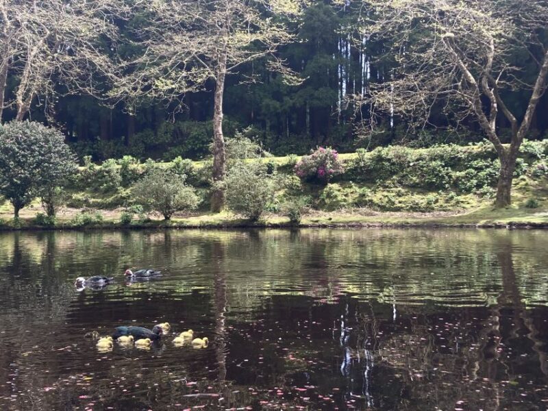 From Angra: Terceira Island Full-Day Tour - Frequently Asked Questions