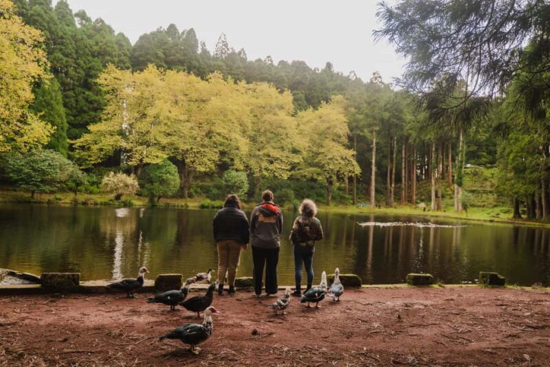 From Angra: Terceira Island Half-Day Tour - Final Thoughts: Is This Tour Right for You?