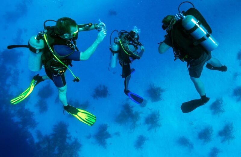 From Antalya| Kemer: Diving Tour with Experienced Instructor - What You Can Expect from This Kemer Diving Tour