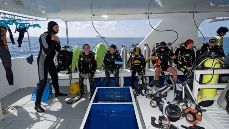 From Antalya| Kemer: Diving Tour with Experienced Instructor - Is It Worth The Price?