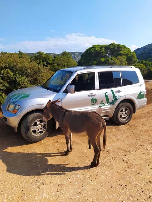 From Arbatax: 4hour jeep tour of the Golgo Plateau in Baunei - Authentic Traveler Feedback