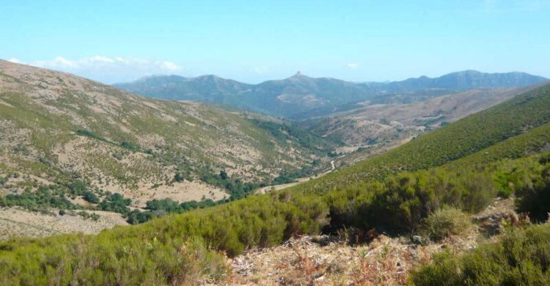 From Arzana: trekking to Punta La Marmora with aperitif - Key Points