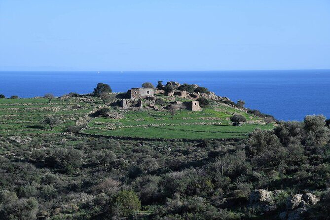 From Athens: Aegina Island E-bike & walking day tour - Who Should Consider This Tour?