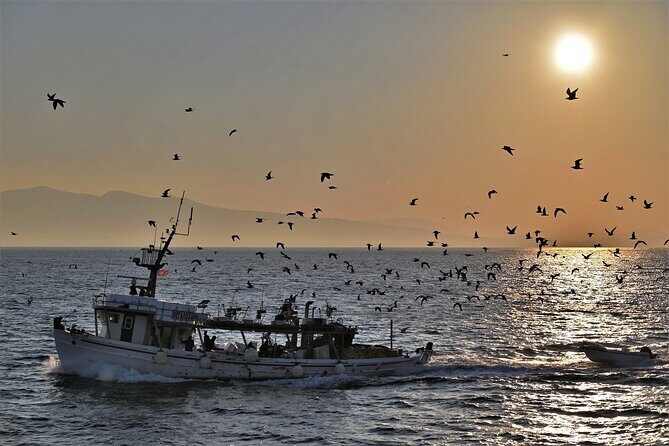 From Athens: Aegina Island E-bike & walking day tour - Final Thoughts