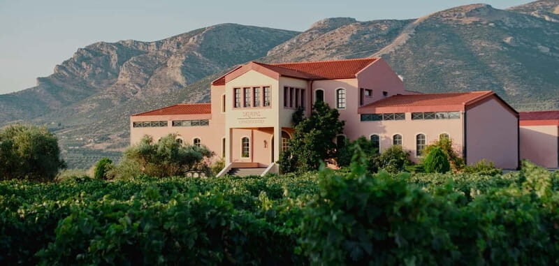 From Athens: Ancient Sparta and Nemea Wine Country Day Trip - Practical Considerations