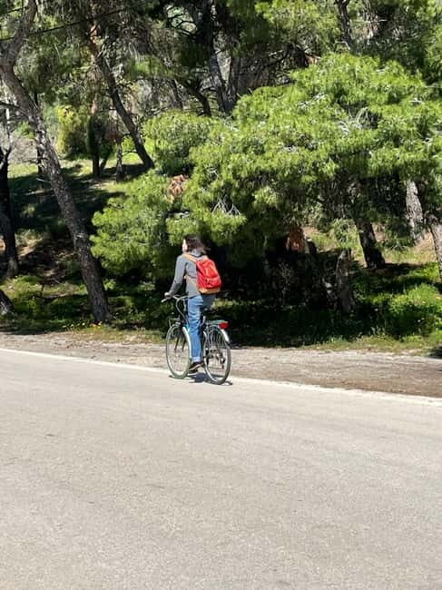 From Athens: Bike & Island Full-Day Tour to Poros - FAQ