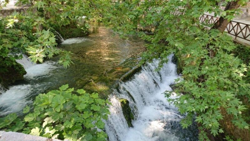 From Athens: Delphi Oracle & Stadium Private Historical Tour - Who Should Consider This Tour?