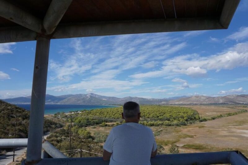 From Athens: Marathon and Thermopylae Full Day Private Trip - An Honest Look at the Tour Experience