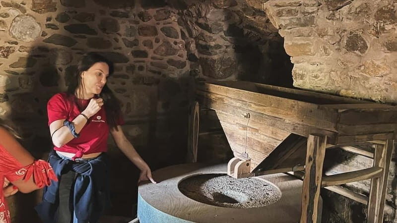 From Athens: Nemea Wine Tour with Corinth Canal Stop - Frequently Asked Questions