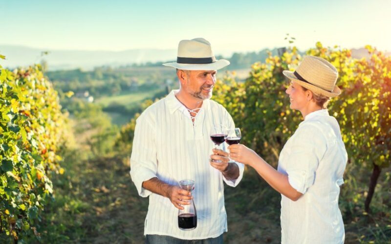 From Athens: Olive Oil Production & Wine Private Day Trip - An In-Depth Look at the Olive Oil & Wine Day Trip