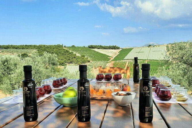 From Athens: Olive Oil Tasting, Olive Grove & Wine Experience - Exploring the Olive Oil & Wine Experience Near Athens