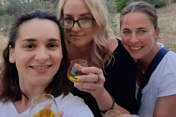 From Athens: Olive Oil Tasting, Olive Grove & Wine Experience - Key Points