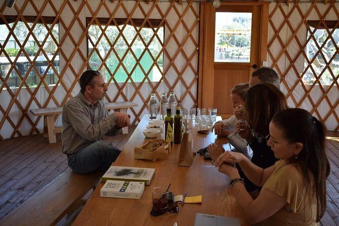 From Athens: Olive Oil Tasting, Olive Grove & Wine Experience - Who Should Consider This Tour?
