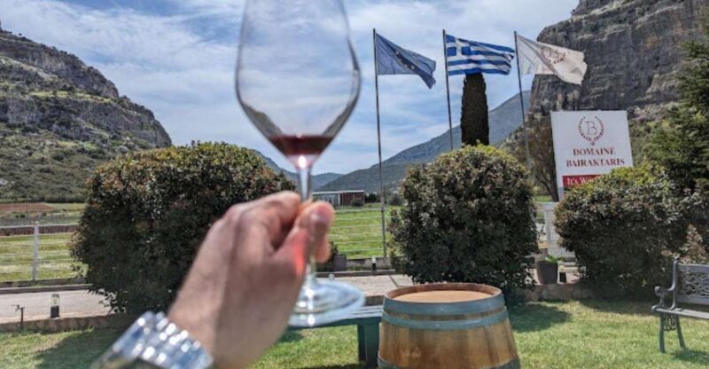 From Athens: Wine Roads Private Tour with Wine Tasting - The Practical Aspects
