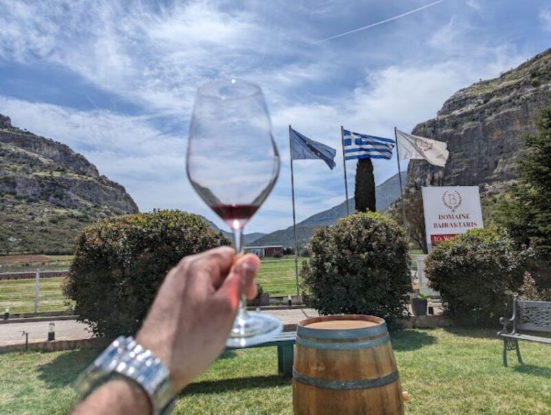 From Athens: Wine Roads Private Tour with Wine Tasting - What Past Travelers Say