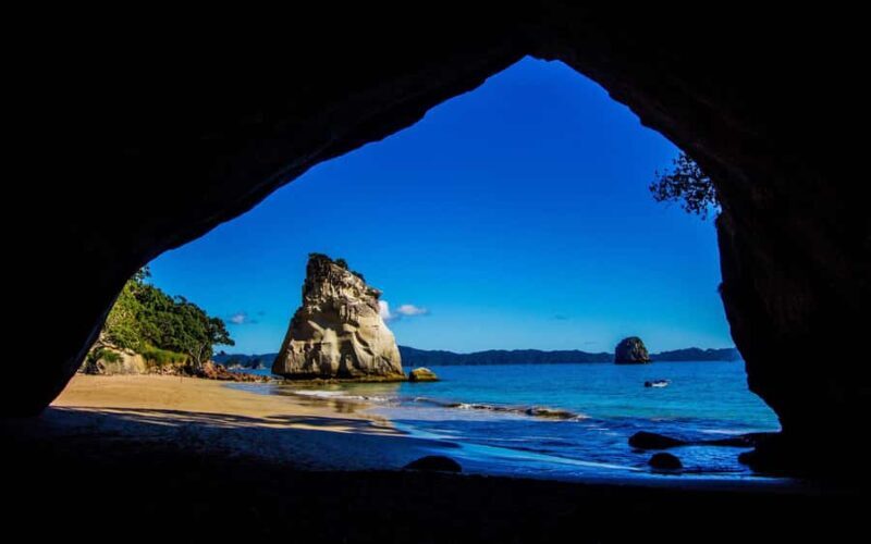 From Auckland: Cathedral Cove & Hot Water Beach Tour - Key Points