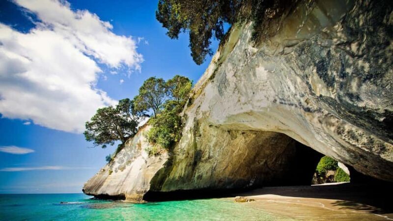 From Auckland: Cathedral Cove & Hot Water Beach Tour - How Does It Value?