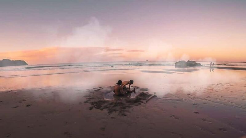 From Auckland: Cathedral Cove & Hot Water Beach Tour - What Do Travelers Say?