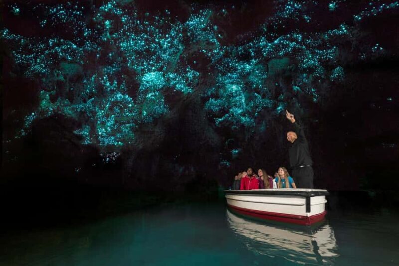From Auckland: Day Trip to Waitomo Glow Worm Caves - The Sum Up