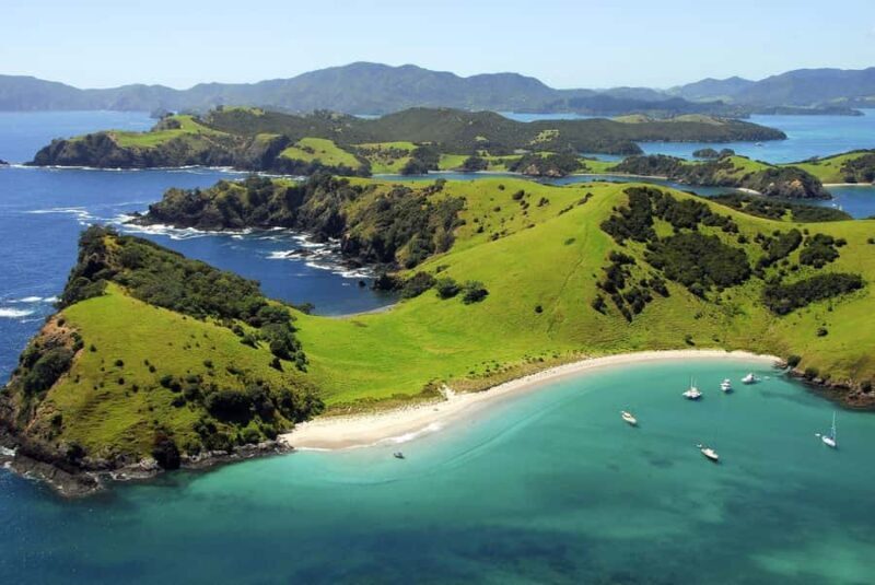 From Auckland: Full Day Private Tour to the Bay of Islands - An Inside Look at the Tour