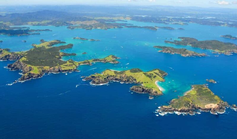 From Auckland: Full Day Private Tour to the Bay of Islands - Authentic Traveler Feedback
