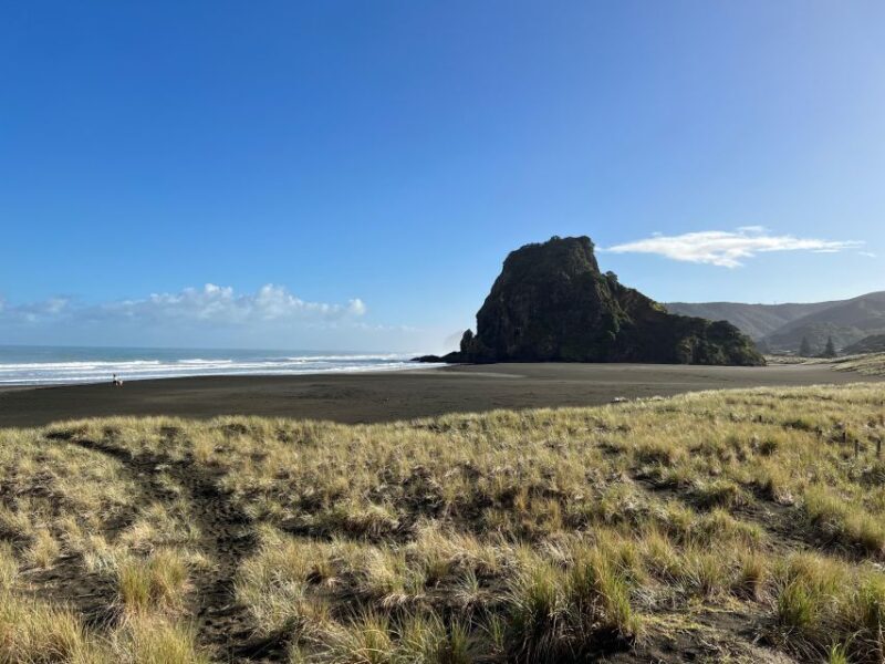 From Auckland: Guided Tour of Piha with Scenic Beach Walks - Heading Back to Auckland
