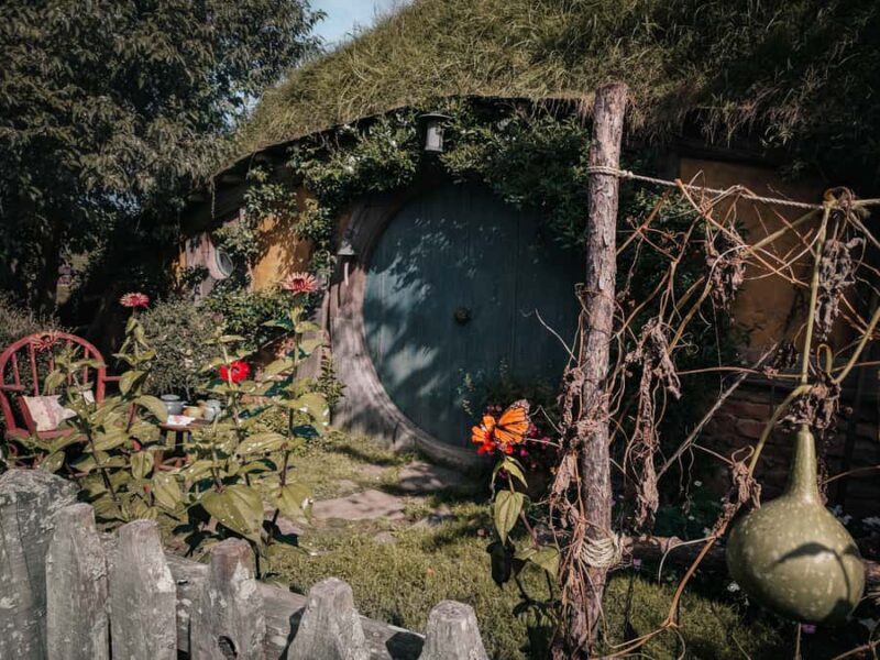 From Auckland: Hobbiton Afternoon Tour - Key Points