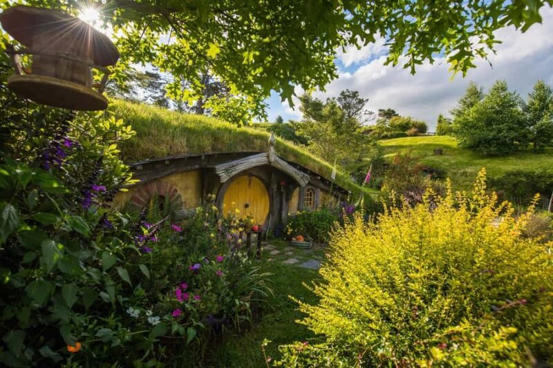 From Auckland: Hobbiton Movie Set Full-Day Small-Group Trip - Key Points