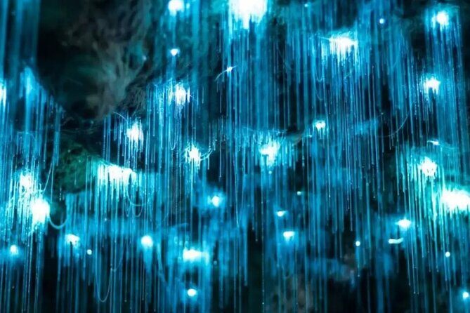 From Auckland: Spellbound, Waitomo Glowworm Cave Small Group Tour - FAQ