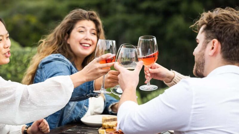 From Auckland: Taste Of Waiheke Island Day Tour - Final Thoughts