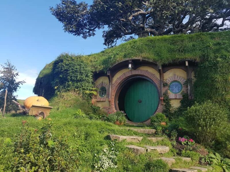 From Auckland: Two-Day Hobbiton, Rotorua, Waitomo Caves Tour - Key Points