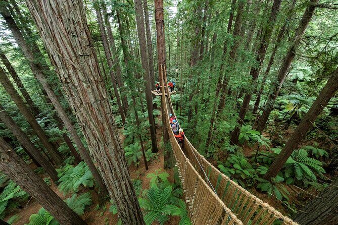 From Auckland Wai Ariki and Rotorua Redwoods Small Group Tour - Final Thoughts