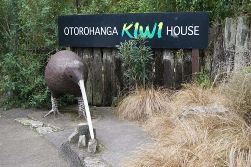 From Auckland: Waitomo Caves and Kiwi House Group Tour - Overall Value and Practical Considerations