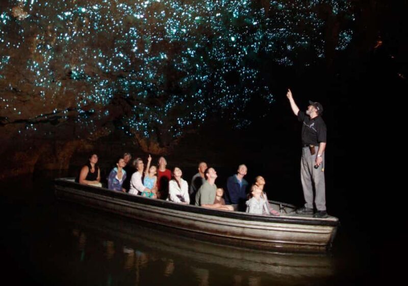 From Auckland: Waitomo Caves and Kiwi House Group Tour - Who Should Consider This Tour?
